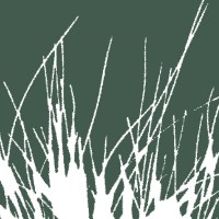 Spinifex Land Access & Environment logo - Similar company to Xenith