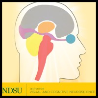Center for Visual and Cognitive Neuroscience logo - Similar company to Institute Of Neuroscience Of Castilla Y León