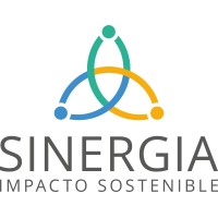 Sinergia logo - Similar company to Ineltec, S.A.