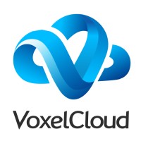 VoxelCloud logo - Similar company to Tigera