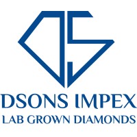 DSONS IMPEX logo - Similar company to Strat Collar