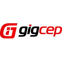 Gigdata Bilgi Teknolojileri logo - Similar company to Dtec Token (Dtec)
