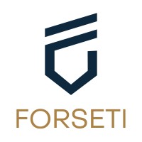 Litige Forseti inc. logo - Similar company to Forseti