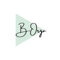 B-Orga logo - Similar company to Lysoft Sa