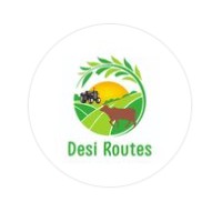 Desi Routes logo - Similar company to Caremytrip.Com