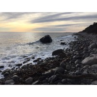 Rockyshores logo - Similar company to Antisocial Labs