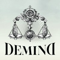 Demind Firma Management logo - Similar company to The Window Lab.