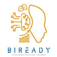 BI-Ready logo - Similar company to Itransform