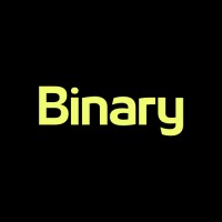 Binary logo - Similar company to Binary Centric