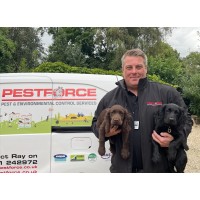 Pestforce Lincolnshire logo - Similar company to Aurora Environmental Solutions Ltd