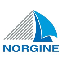 Norgine France logo - Similar company to Norgine