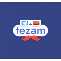 Tezam logo - Similar company to Dreamsoft