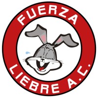 Fuerza Liebre, A.C. logo - Similar company to Advanced Value Group, Llc