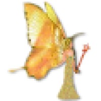 Magic Touch Productionz logo - Similar company to Magic Touch