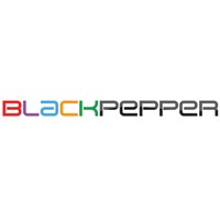 BlackPepper InfoServices Pvt Ltd logo - Similar company to A1 It Firm