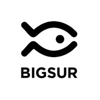 Big Sur s.c.r.l. logo - Similar company to Pazlab