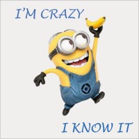 I'm crazy & I know it logo - Similar company to Meme For Programmer
