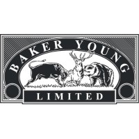 Baker Young Limited logo - Similar company to Citadel Secure