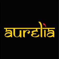 Aurelia Apparels Vietnam Ltd. logo - Similar company to Trangand Vietnam