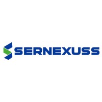 Sernexuss Immigration Pvt Ltd logo - Similar company to Visas Avenue