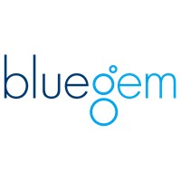 Bluegem Software logo - Similar company to Software First