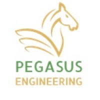 Pegasus Engineering SRL logo - Similar company to Pegasus Engineering