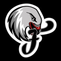 Nürnberg Falcons BC logo - Similar company to Ps Karlsruhe Lions