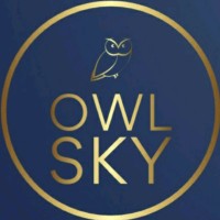 Owl Sky Regulatory logo - Similar company to Owl In Space