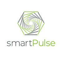 smartPulse Global logo - Similar company to 90Pixel