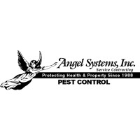 Angel Systems Inc logo - Similar company to Angel Systems