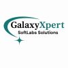 GalaxyXpert Softlabs LTD logo - Similar company to Zenithive Technologies