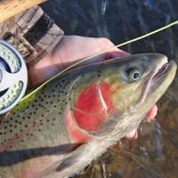 Hobo Fly Fishing Llc