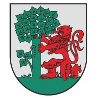 Liepaja City Council