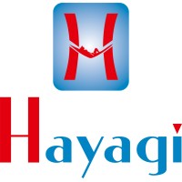 Hayagi logo - Similar company to Secpay