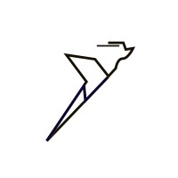 Nexus Cardinal Capital logo - Similar company to Ops Parking