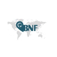 BNF HARİTA MÜHENDİSLİK logo - Similar company to Mapperx
