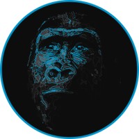 Blue Ape logo - Similar company to Pafin Inc.