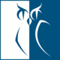 CEIS logo - Similar company to Lexfo
