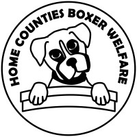 Home Counties Boxer Welfare logo - Similar company to Thistle Boxer Rescue