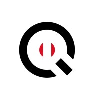 palmiq Peru logo - Similar company to A&M Comunicaciones Y Servicios Generales Sac