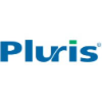 Pluris Valuation Advisors LLC logo - Similar company to Quist Valuation
