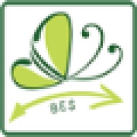 Butterfly Energy Systems