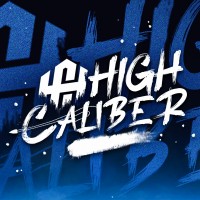 High Caliber Llc