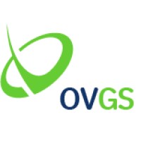 OneVoice Government Solutions logo - Similar company to Windows On Washington