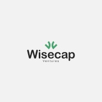 Wisecap ventures logo - Similar company to Grofessors Innovations Private Limited