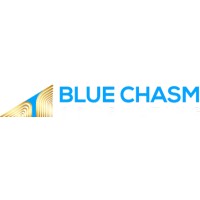 Blue Chasm Consulting logo - Similar company to Umbrella Dental Partners