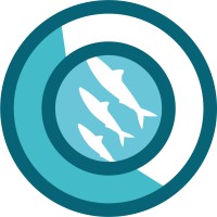 Hublot logo - Similar company to Xpertrum