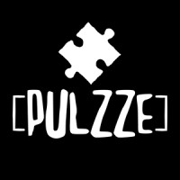 Pulzze - Volcanic stonewashed clothing logo - Similar company to Poli