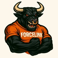 Forcelinkbr logo - Similar company to Forcelink