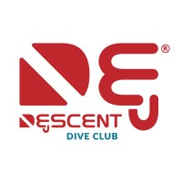 Descent Dive Club logo - Similar company to Kidive - Centro De Buceo
